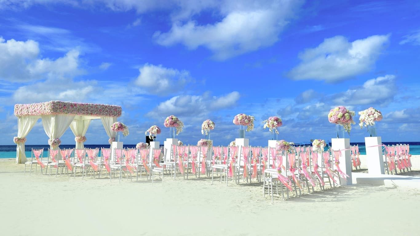 Find the best expat wedding company